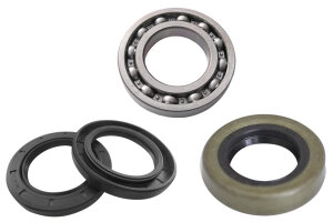 Oil seals