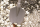 SDS Max kürek keski 400 mm