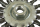 125 mm szczotka druciana tarczowa stalowa dwukierunkowa z gwintem M14
