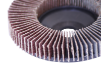 Ściernica listkowa 100x16 mm uziarnieniu 60