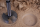 Forstnerbor tandede 12 mm