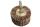 40 mm Schleifmop Lamellenschleifer Fächerschleifer Schleifwalzen Körnung 320