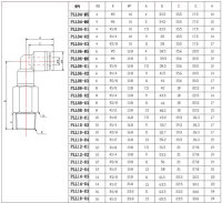 Pneumatica angolo estesa a gomito 90° (PLL) Ø 6 mm con filettatura BSPT R1/2"