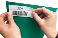 Magnetic sheet foil DIN A4 for labeling + cutting for fridge, whiteboard (green)