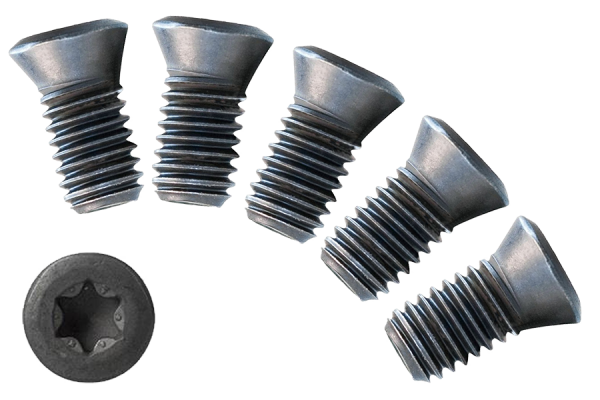 5x tornillo M4 x 10 mm di Mabi Bingo 16 Vario, Bingo 16 Evo, Bingo 2 Vario, Bingo 2 Evo